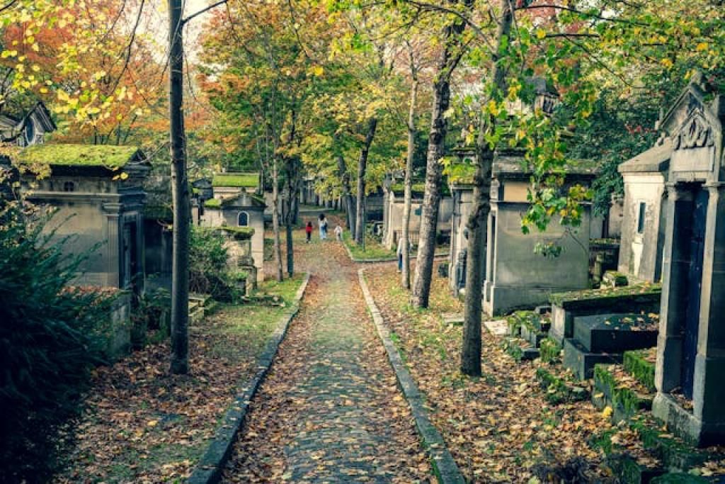 Hôtel Jardin Le Bréa