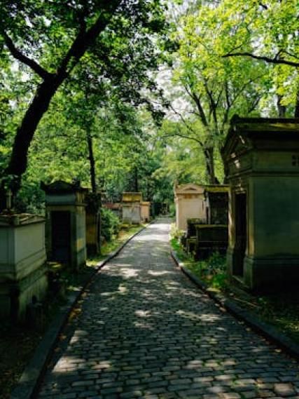 Hôtel Jardin Le Bréa