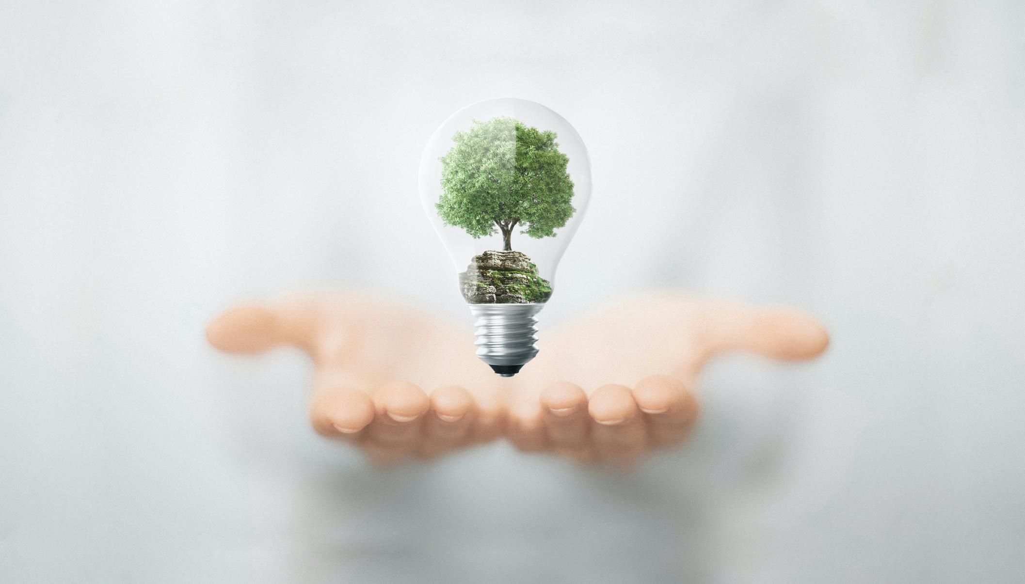 Jardin Le Brea - Ecologie