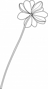 Jardin Le Brea - Ecologie