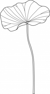 Jardin Le Brea - Ecologie