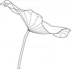 Jardin Le Brea - Hotel et Services